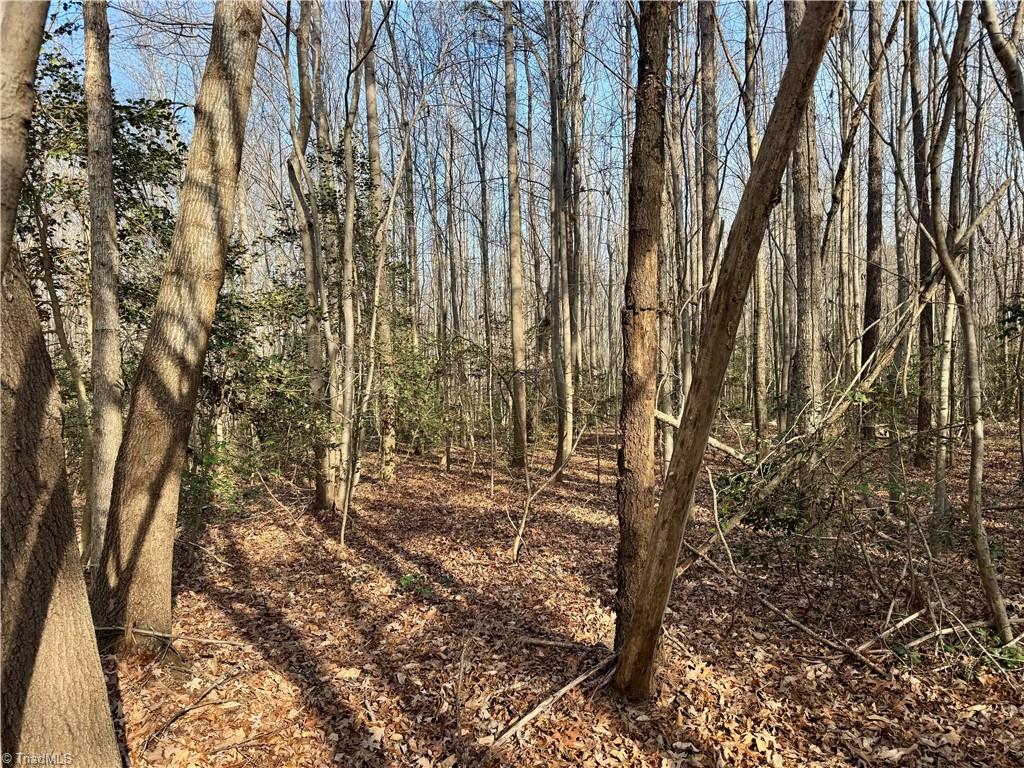 0 Asbury Road Seagrove, NC 27341 - Photo 26 of 40