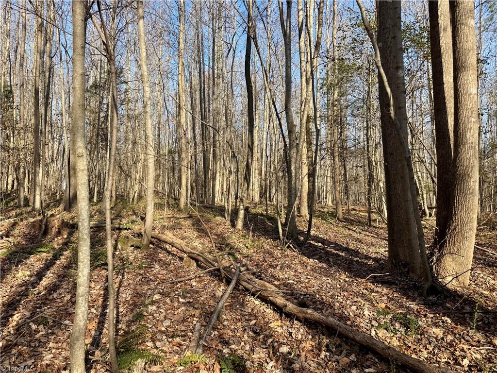 0 Asbury Road Seagrove, NC 27341 - Photo 27 of 40