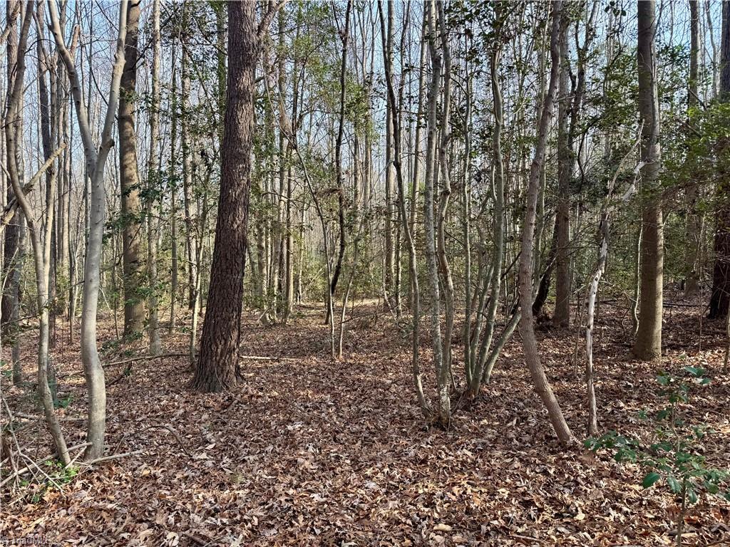 0 Asbury Road Seagrove, NC 27341 - Photo 28 of 40