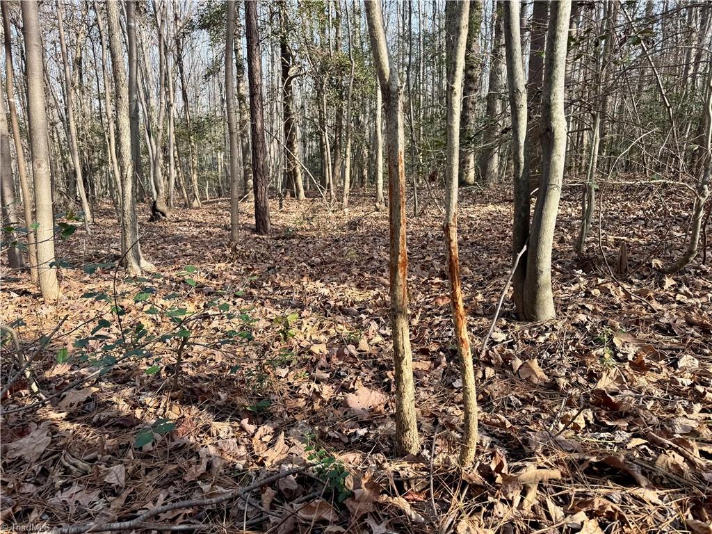 0 Asbury Road Seagrove, NC 27341 - Photo 29 of 40