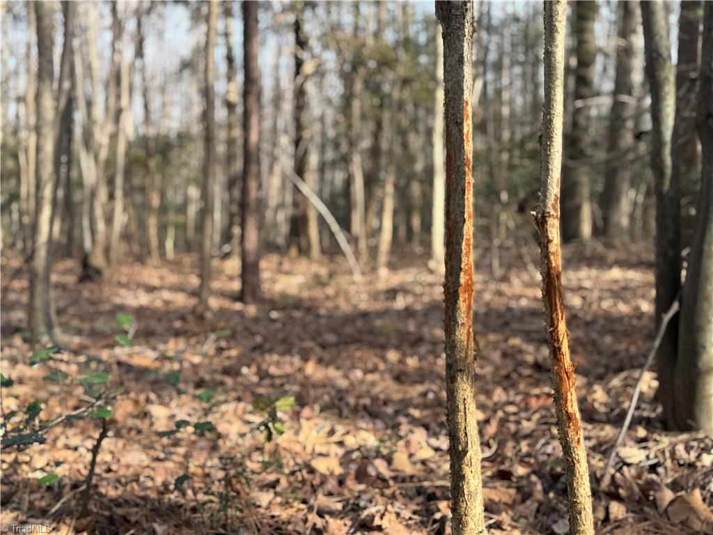 0 Asbury Road Seagrove, NC 27341 - Photo 30 of 40