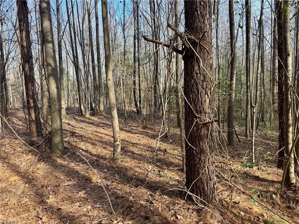 0 Asbury Road Seagrove, NC 27341 - Photo 31 of 40