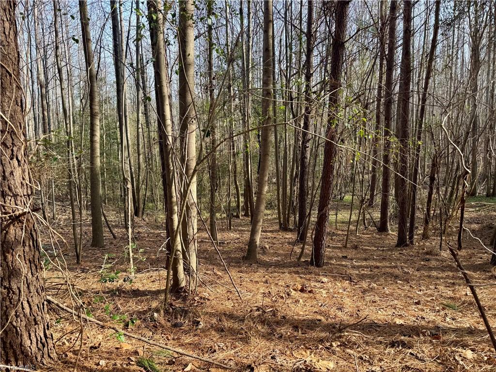 0 Asbury Road Seagrove, NC 27341 - Photo 32 of 40