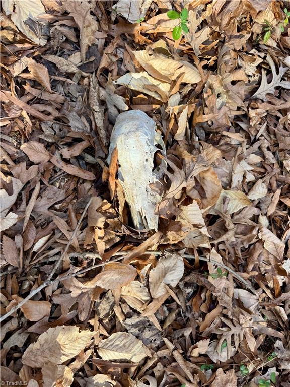 0 Asbury Road Seagrove, NC 27341 - Photo 33 of 40