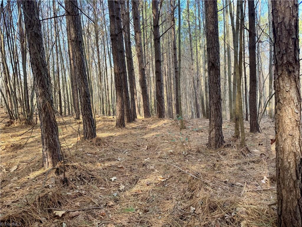 0 Asbury Road Seagrove, NC 27341 - Photo 34 of 40