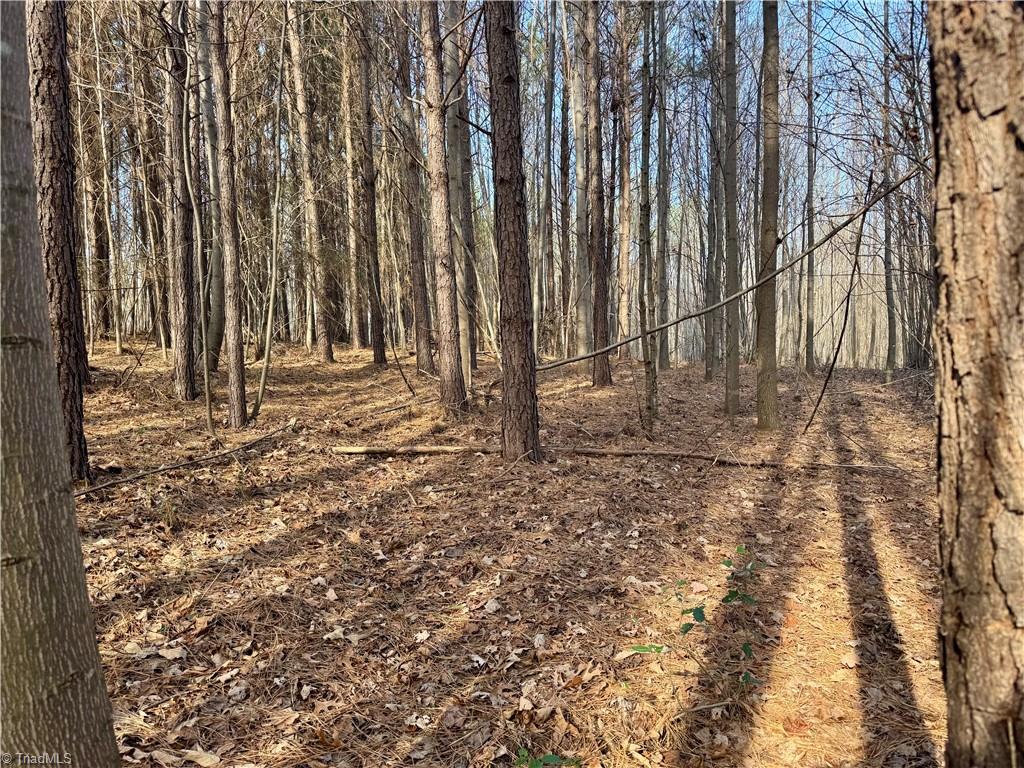 0 Asbury Road Seagrove, NC 27341 - Photo 35 of 40