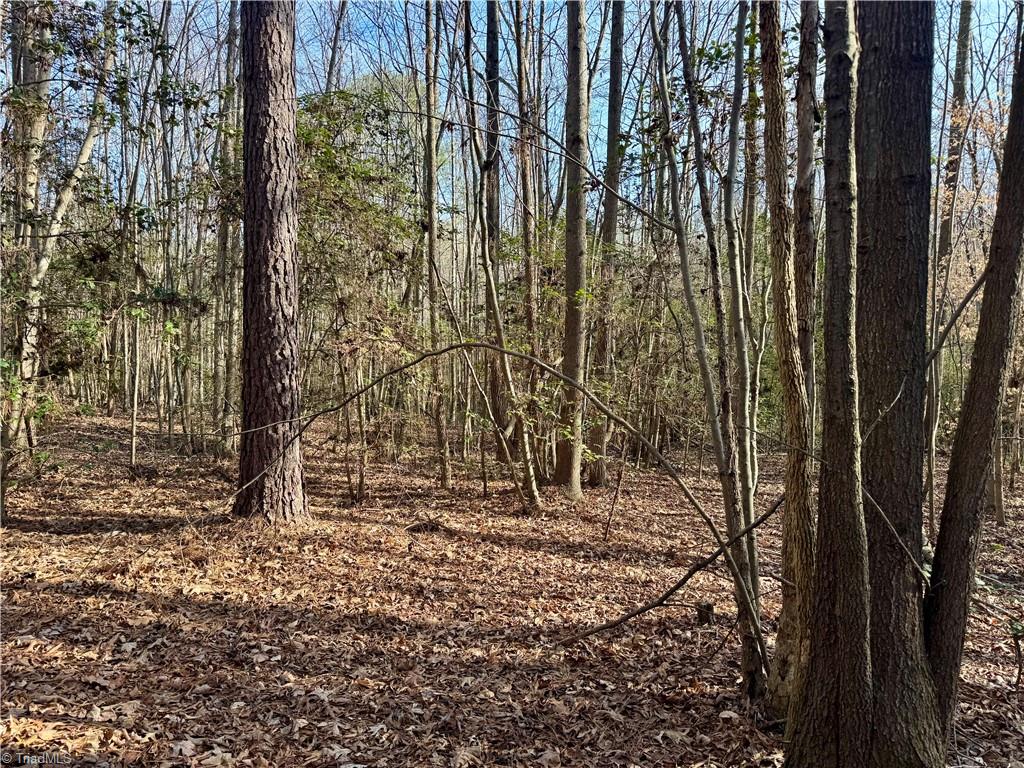 0 Asbury Road Seagrove, NC 27341 - Photo 36 of 40