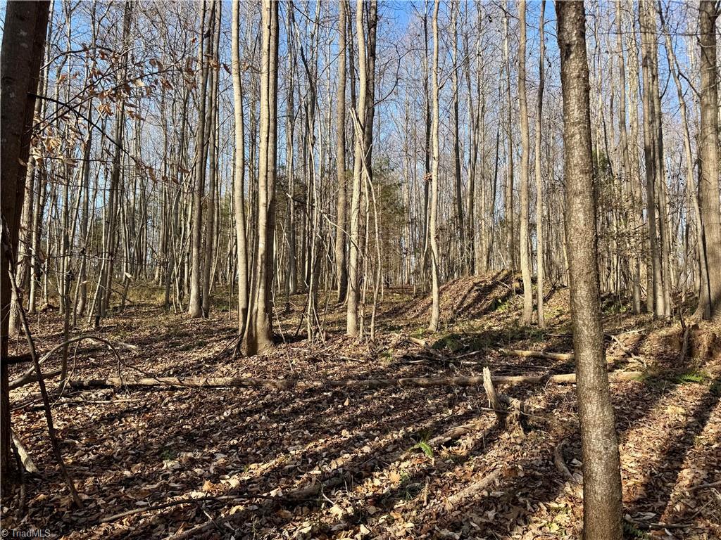 0 Asbury Road Seagrove, NC 27341 - Photo 37 of 40