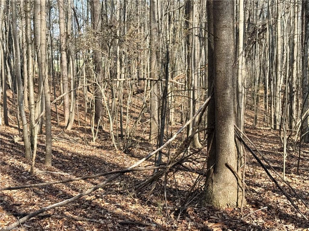 0 Asbury Road Seagrove, NC 27341 - Photo 39 of 40