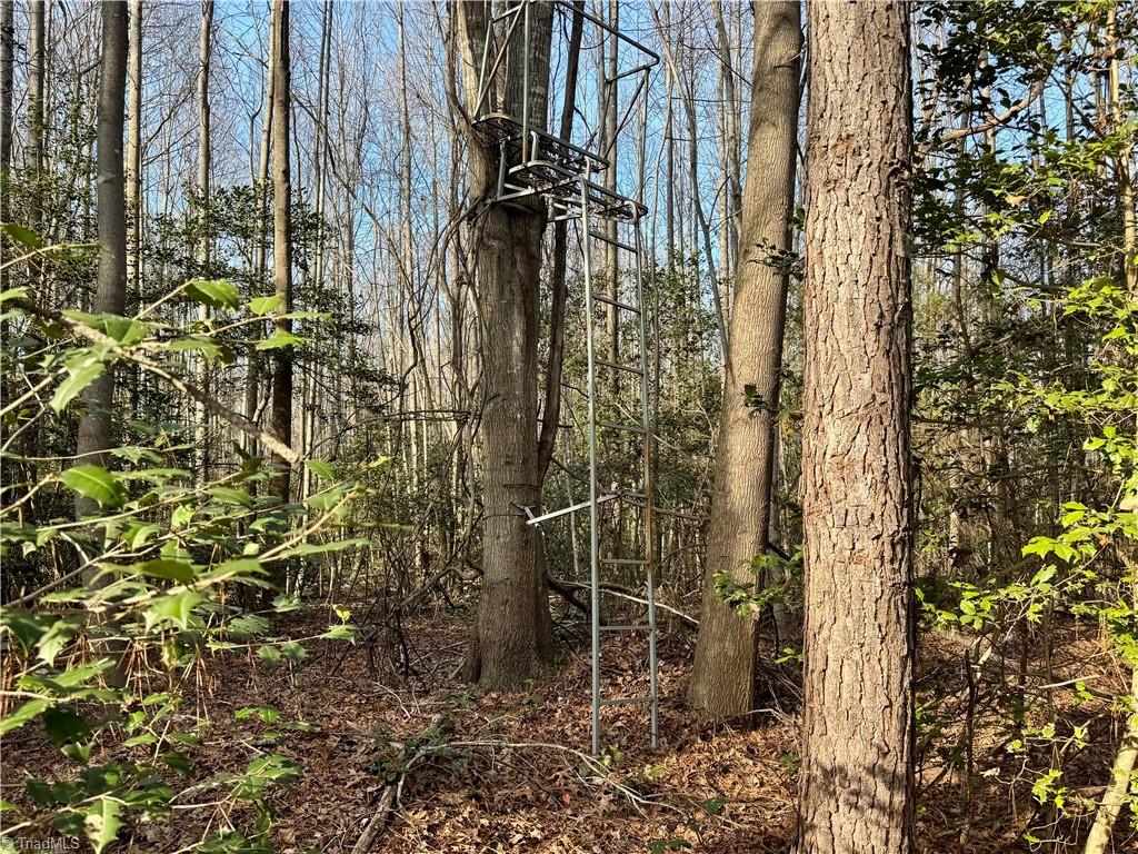 0 Asbury Road Seagrove, NC 27341 - Photo 40 of 40