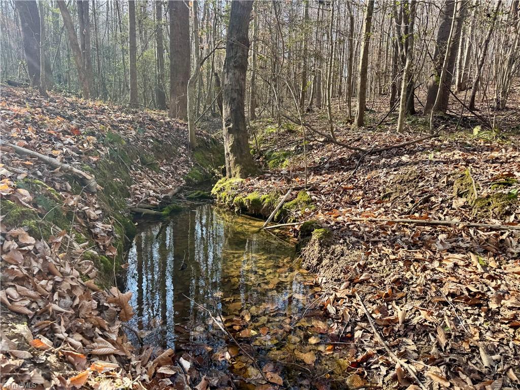 0 Asbury Road Seagrove, NC 27341 - Photo 4 of 40 Spring on the property
