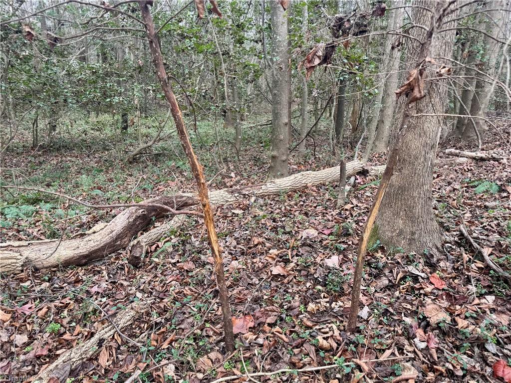 0 Asbury Road Seagrove, NC 27341 - Photo 5 of 40 Lots of deer sign!