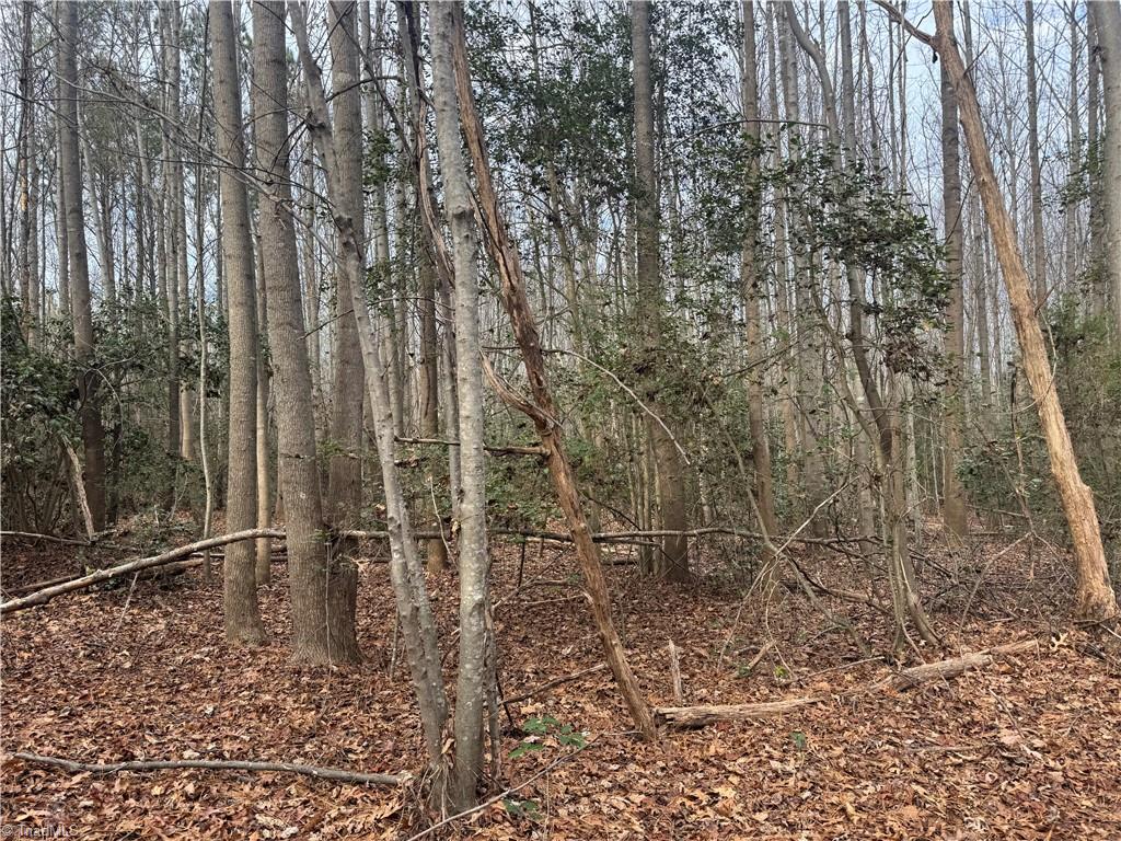 0 Asbury Road Seagrove, NC 27341 - Photo 6 of 40