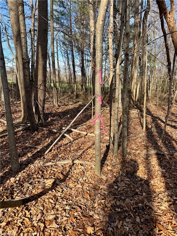 0 Asbury Road Seagrove, NC 27341 - Photo 8 of 40