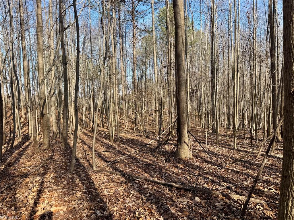 0 Asbury Road Seagrove, NC 27341 - Photo 9 of 40