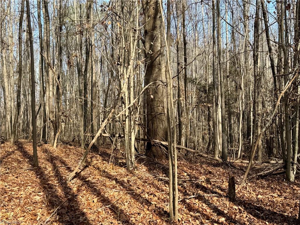 0 Asbury Road Seagrove, NC 27341 - Photo 10 of 40