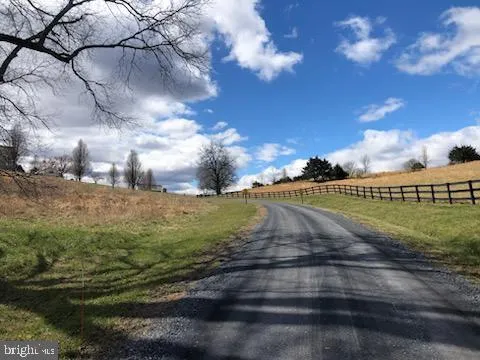a view of a street with a yard