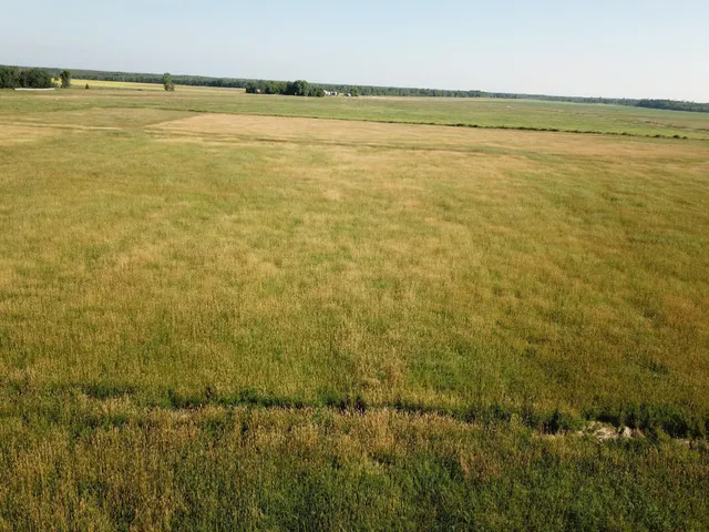 $55,000 | Tbd Tbd 380th Street Northwest, Newfolden, MN 56738