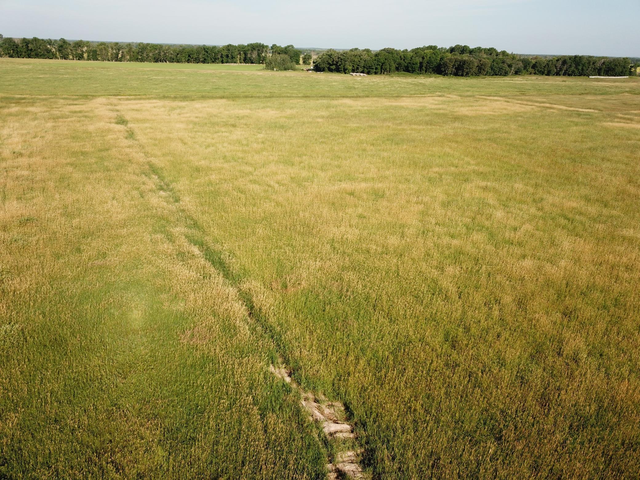 Tbd Tbd 380th Street Northwest Newfolden, MN 56738 - Photo 12 of 38