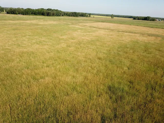 $55,000 | Tbd Tbd 380th Street Northwest, Newfolden, MN 56738