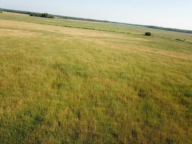 $55,000 | Tbd Tbd 380th Street Northwest, Newfolden, MN 56738