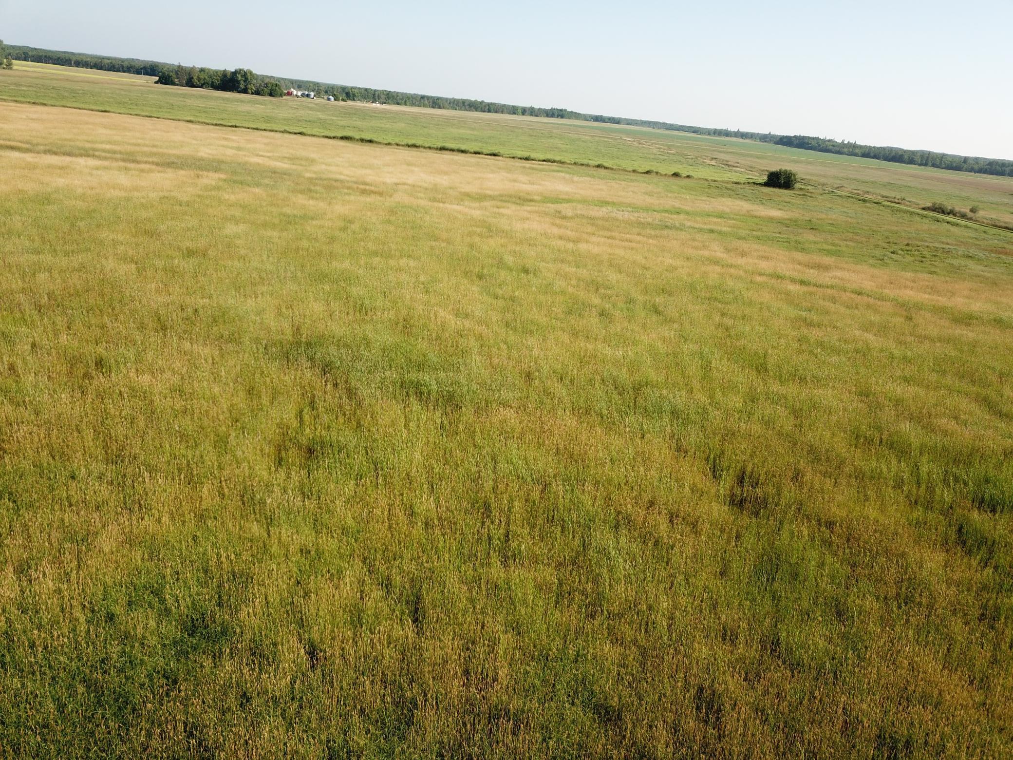 Tbd Tbd 380th Street Northwest Newfolden, MN 56738 - Photo 14 of 38