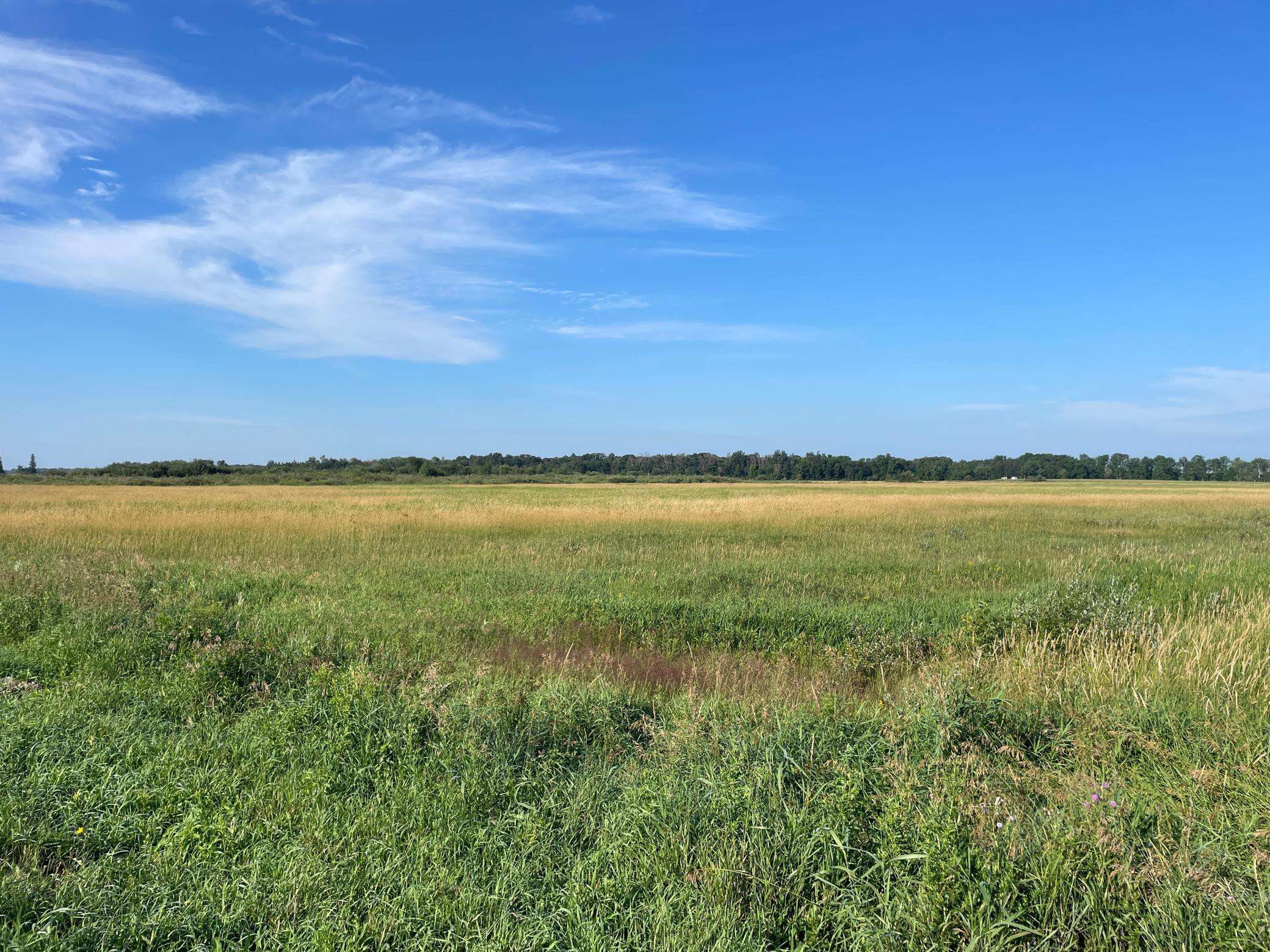 Tbd Tbd 380th Street Northwest Newfolden, MN 56738 - Photo 24 of 38
