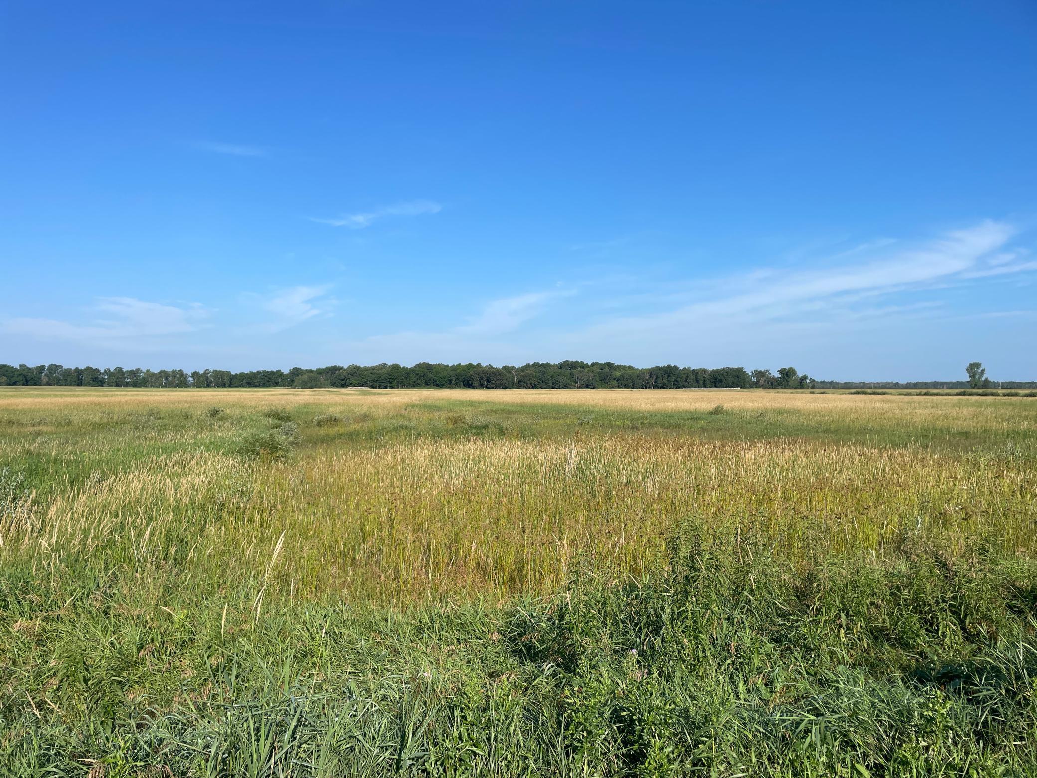 Tbd Tbd 380th Street Northwest Newfolden, MN 56738 - Photo 25 of 38
