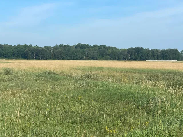 $55,000 | Tbd Tbd 380th Street Northwest, Newfolden, MN 56738