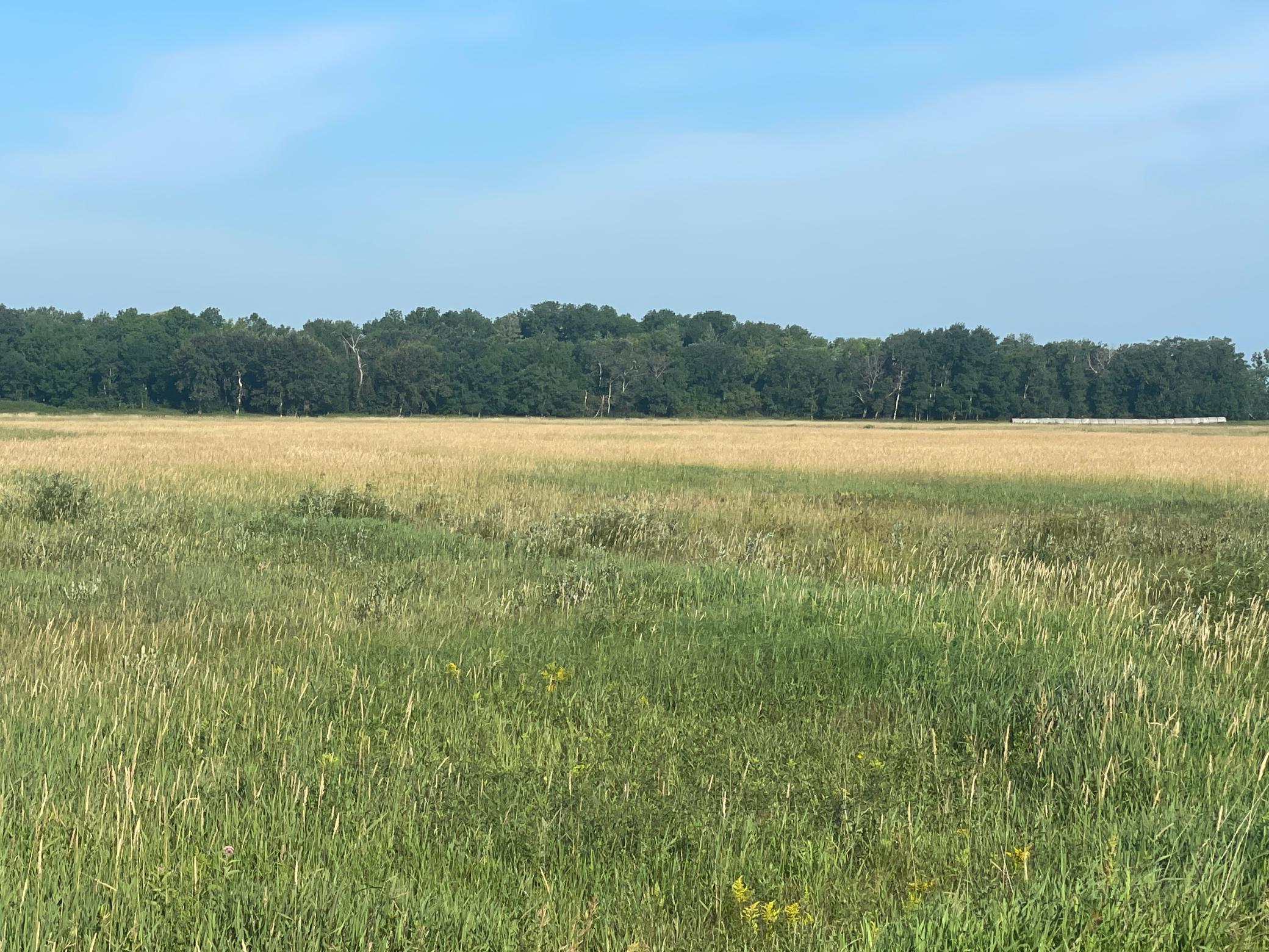 Tbd Tbd 380th Street Northwest Newfolden, MN 56738 - Photo 27 of 38