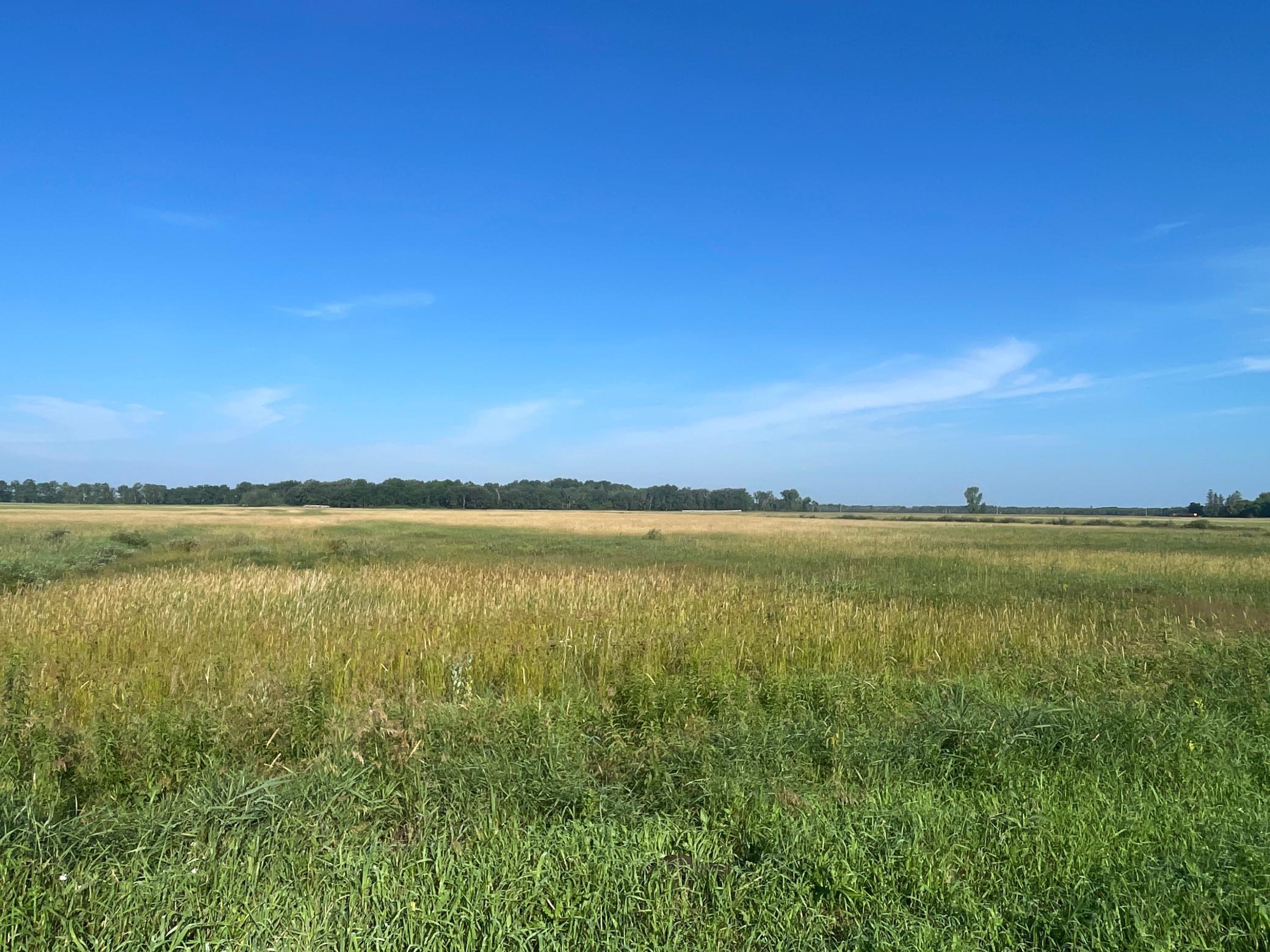 Tbd Tbd 380th Street Northwest Newfolden, MN 56738 - Photo 28 of 38