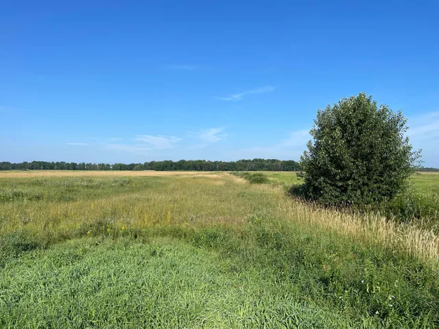 $55,000 | Tbd Tbd 380th Street Northwest, Newfolden, MN 56738