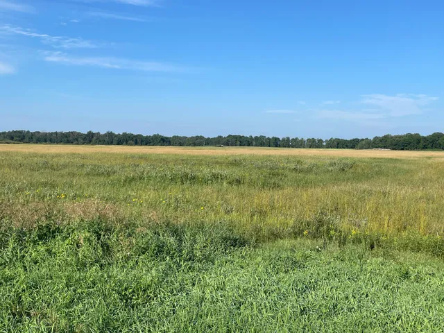 $55,000 | Tbd Tbd 380th Street Northwest, Newfolden, MN 56738