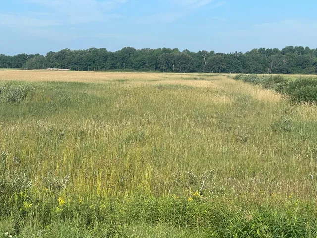 $55,000 | Tbd Tbd 380th Street Northwest, Newfolden, MN 56738