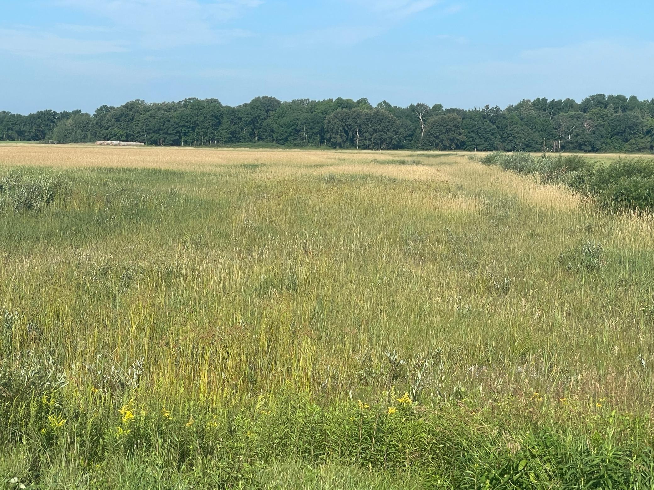 Tbd Tbd 380th Street Northwest Newfolden, MN 56738 - Photo 31 of 38