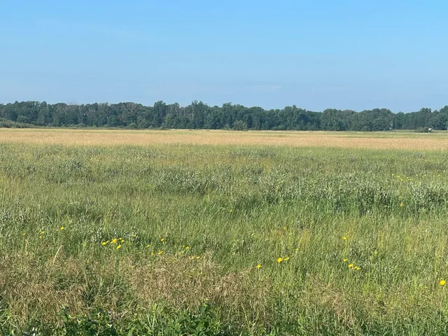 $55,000 | Tbd Tbd 380th Street Northwest, Newfolden, MN 56738