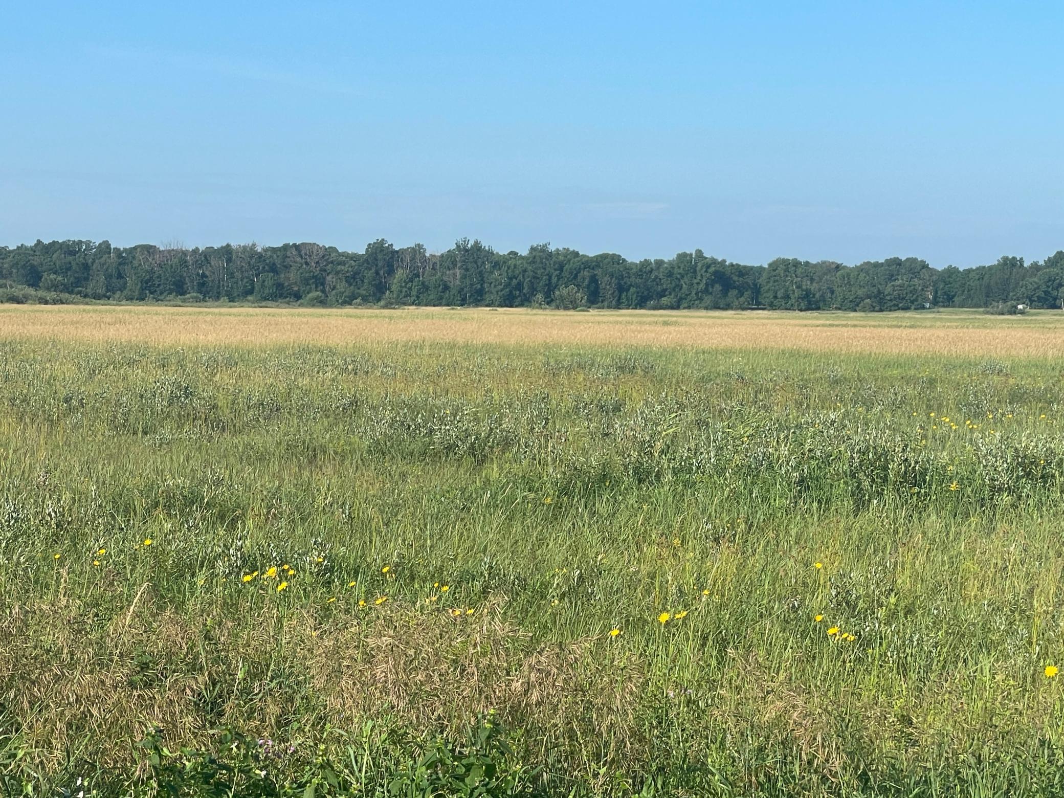 Tbd Tbd 380th Street Northwest Newfolden, MN 56738 - Photo 32 of 38