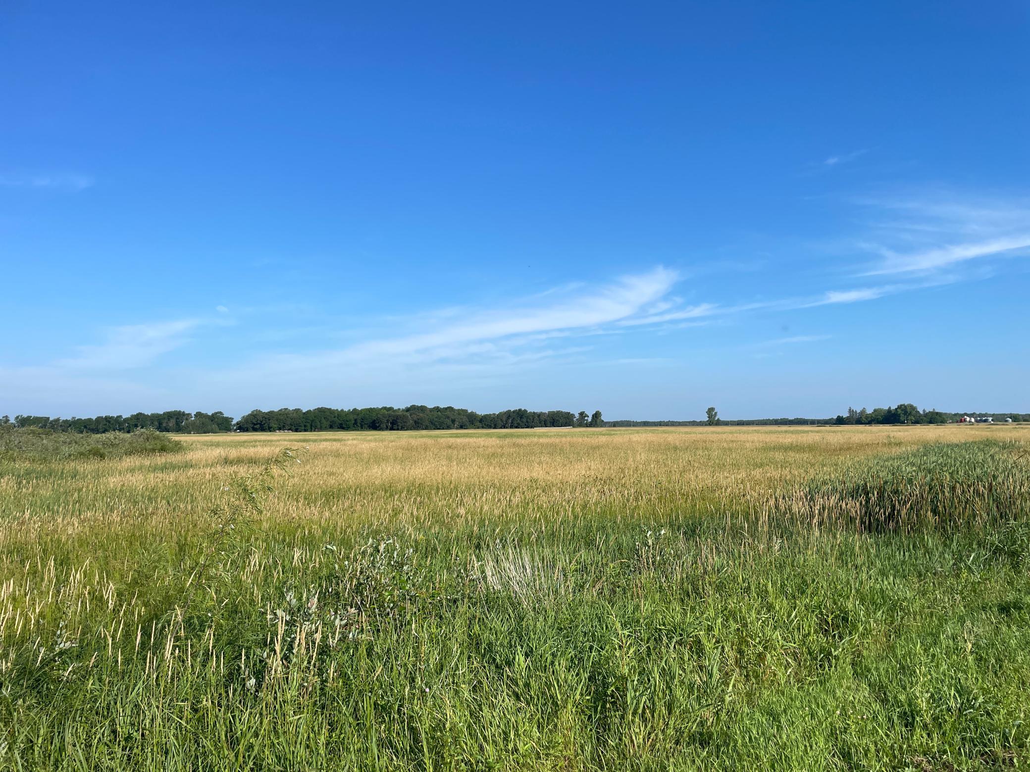 Tbd Tbd 380th Street Northwest Newfolden, MN 56738 - Photo 33 of 38
