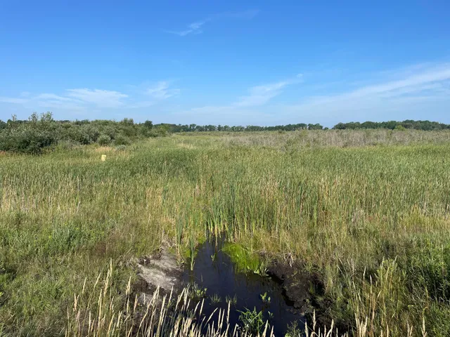 $55,000 | Tbd Tbd 380th Street Northwest, Newfolden, MN 56738