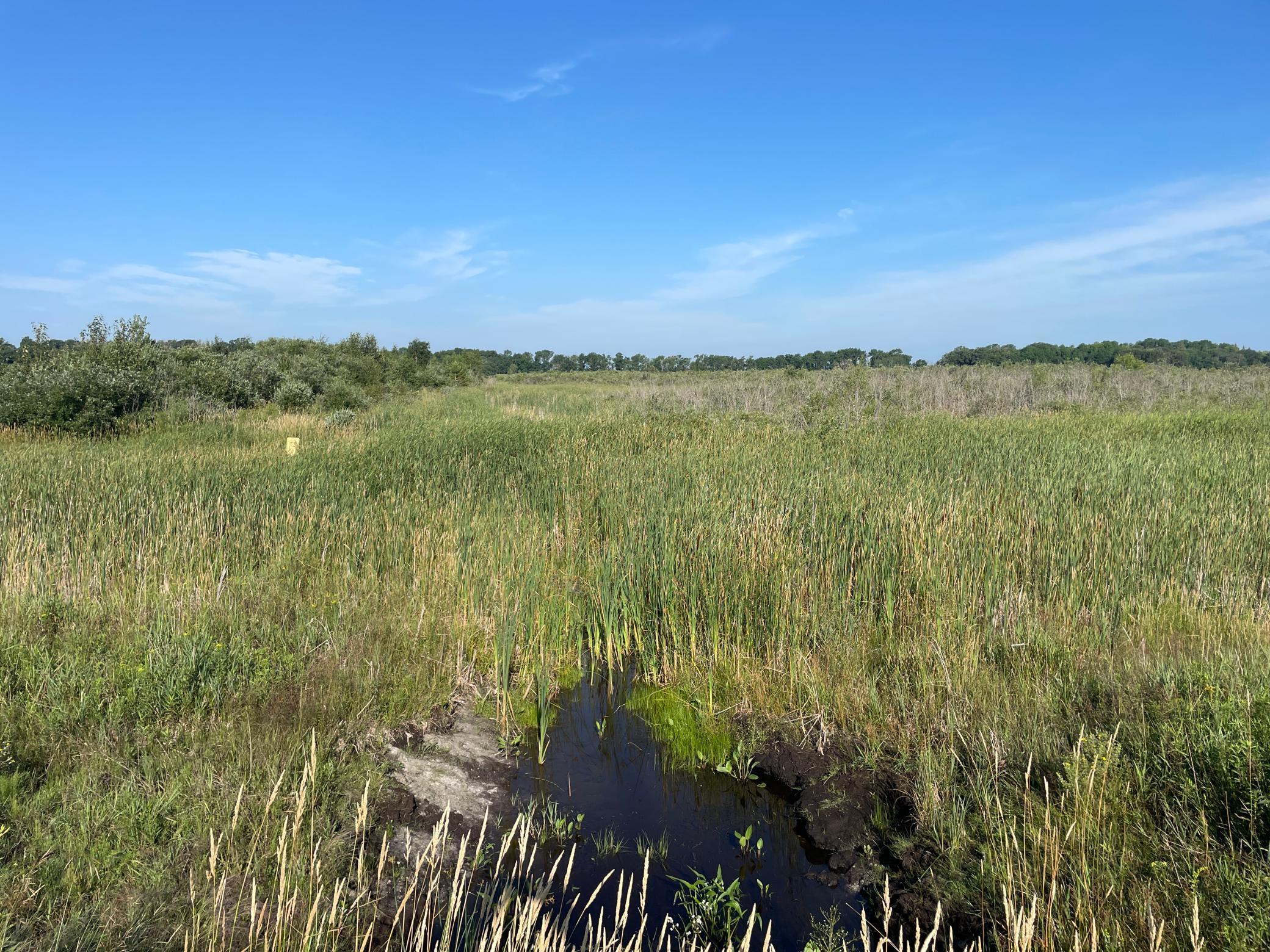 Tbd Tbd 380th Street Northwest Newfolden, MN 56738 - Photo 34 of 38