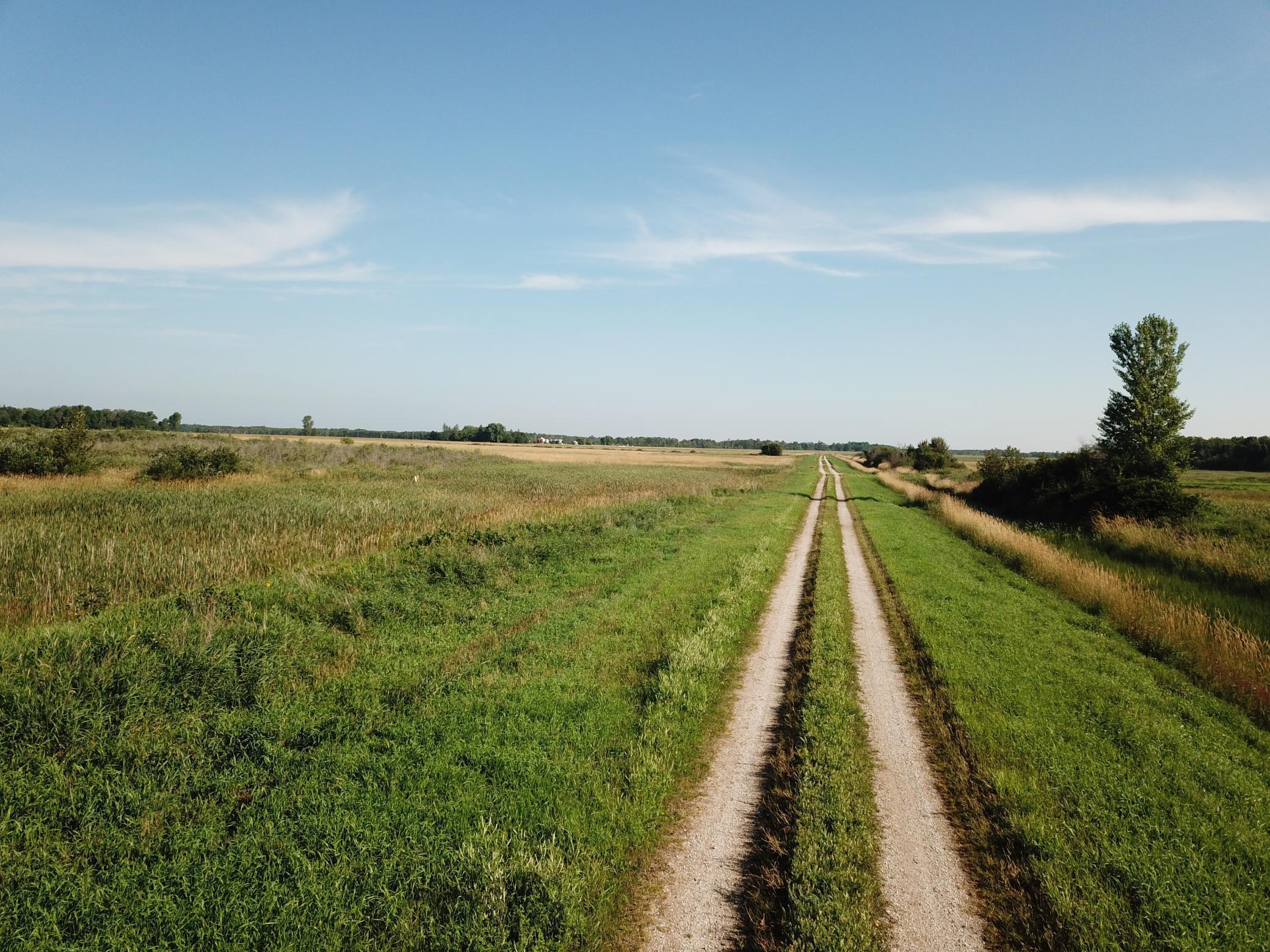 Tbd Tbd 380th Street Northwest Newfolden, MN 56738 - Photo 4 of 38