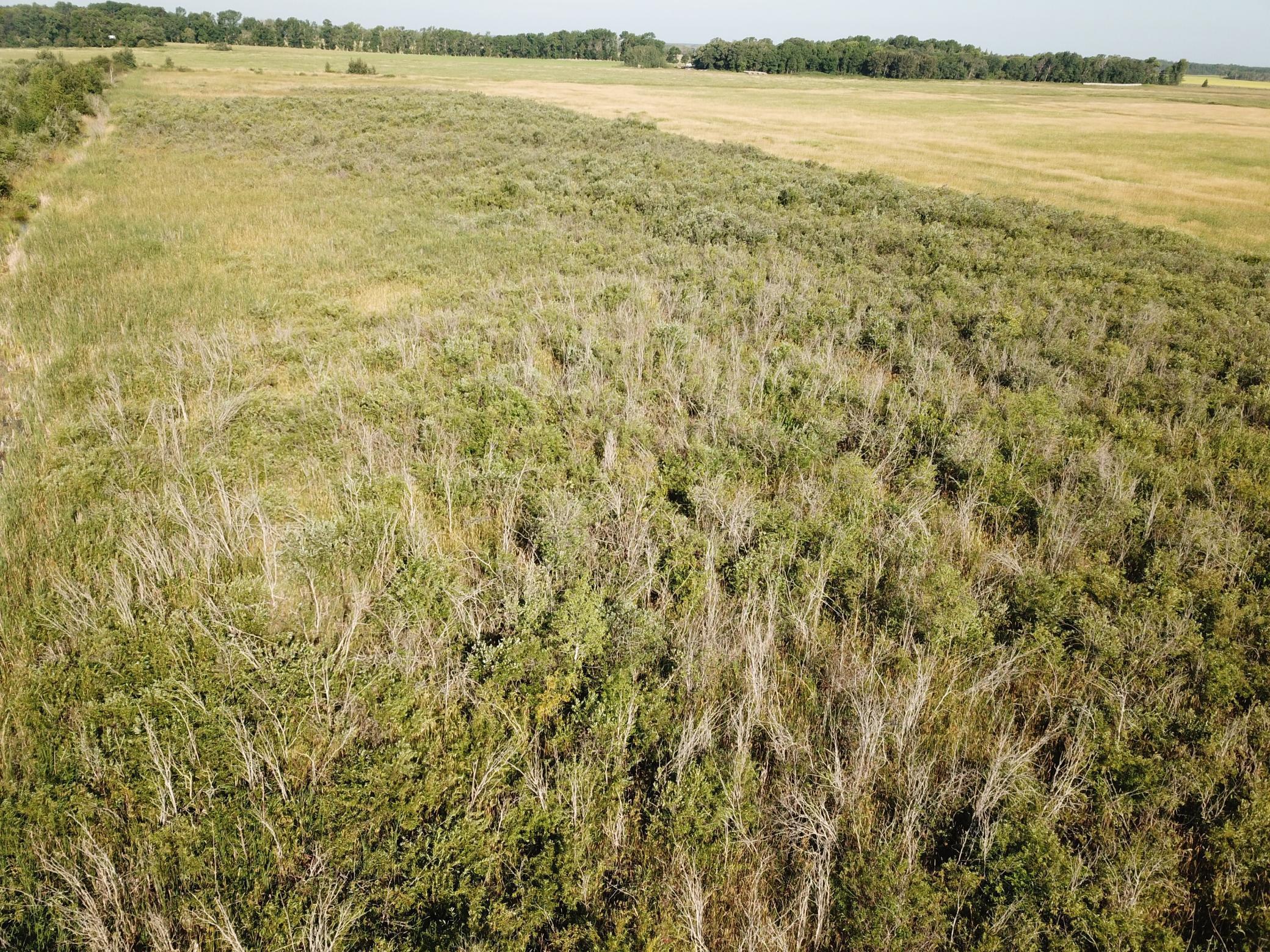 Tbd Tbd 380th Street Northwest Newfolden, MN 56738 - Photo 7 of 38