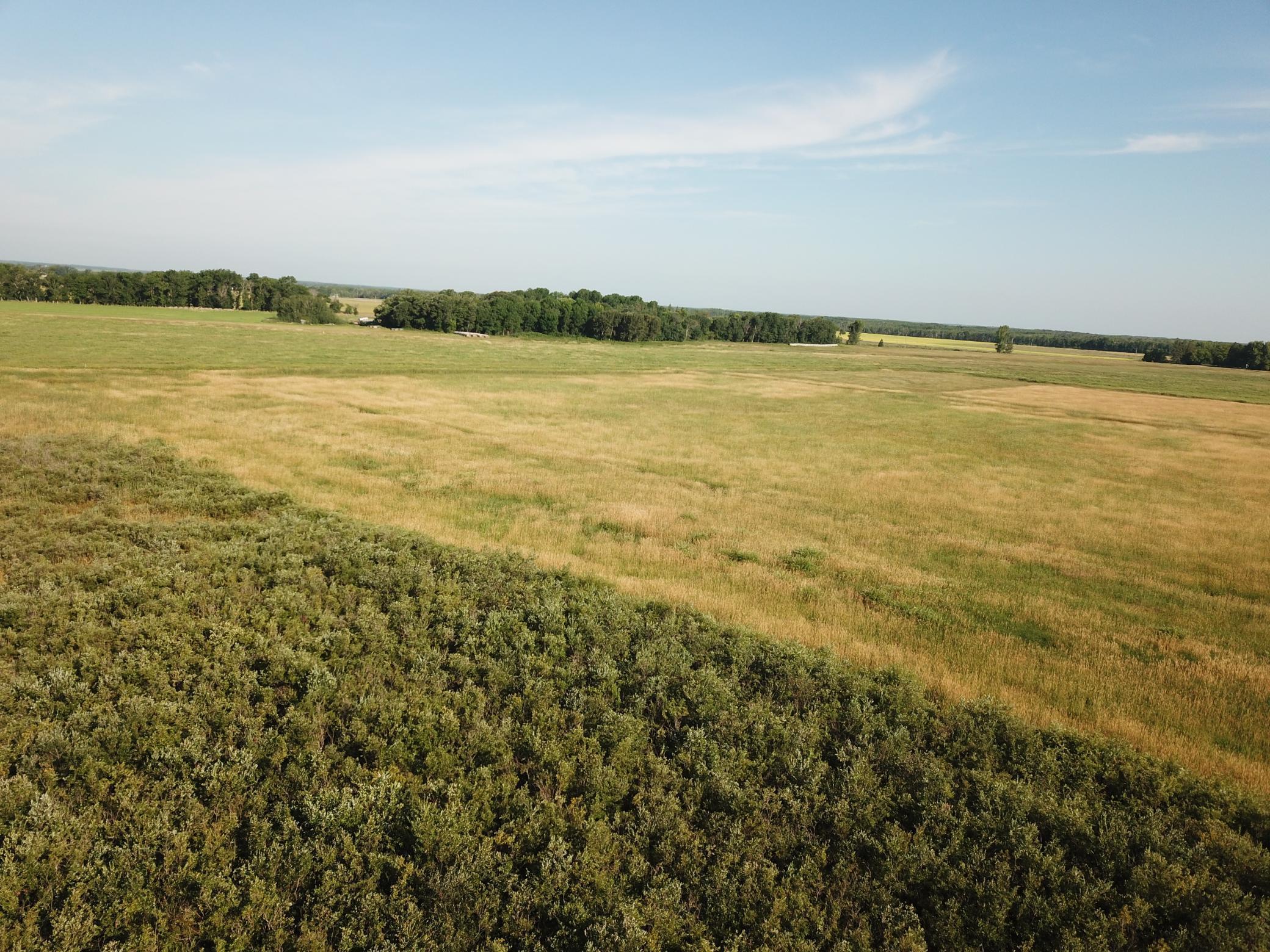 Tbd Tbd 380th Street Northwest Newfolden, MN 56738 - Photo 9 of 38