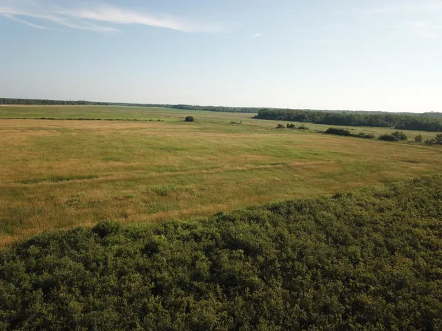 $55,000 | Tbd Tbd 380th Street Northwest, Newfolden, MN 56738