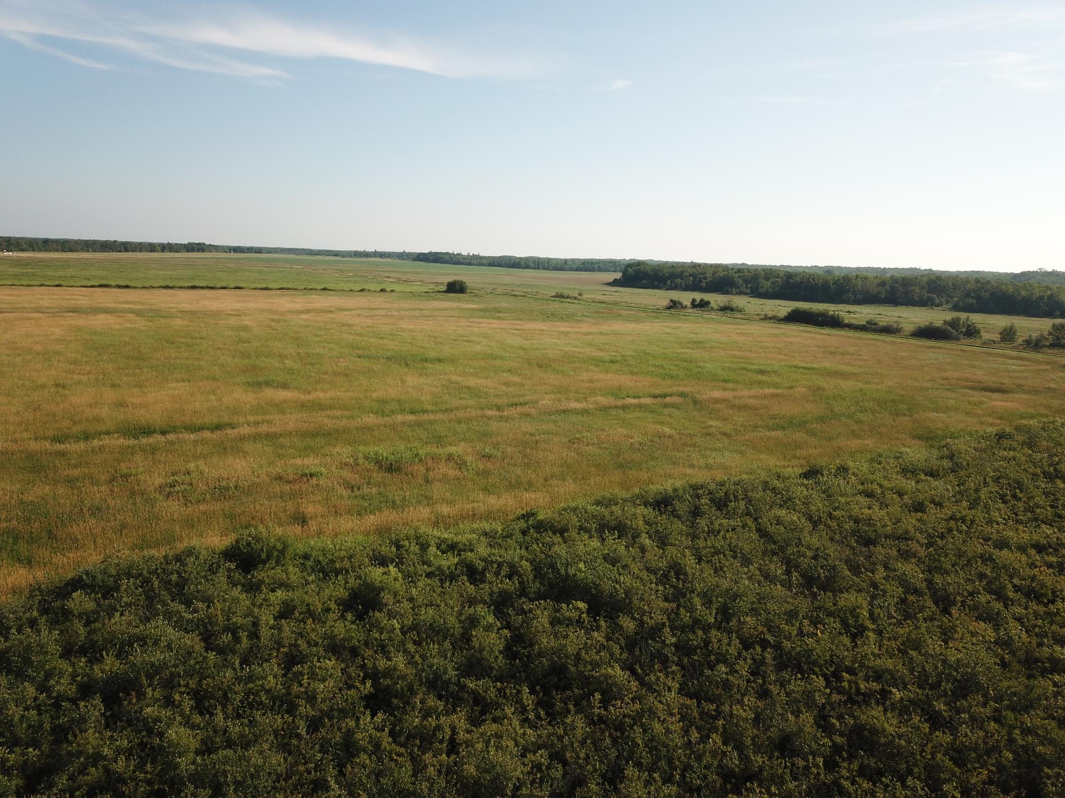 Tbd Tbd 380th Street Northwest Newfolden, MN 56738 - Photo 10 of 38