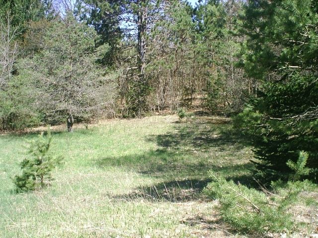 365 East Simpson Road Mancelona, MI 49659 - Photo 4 of 10 1832073-3.JPG