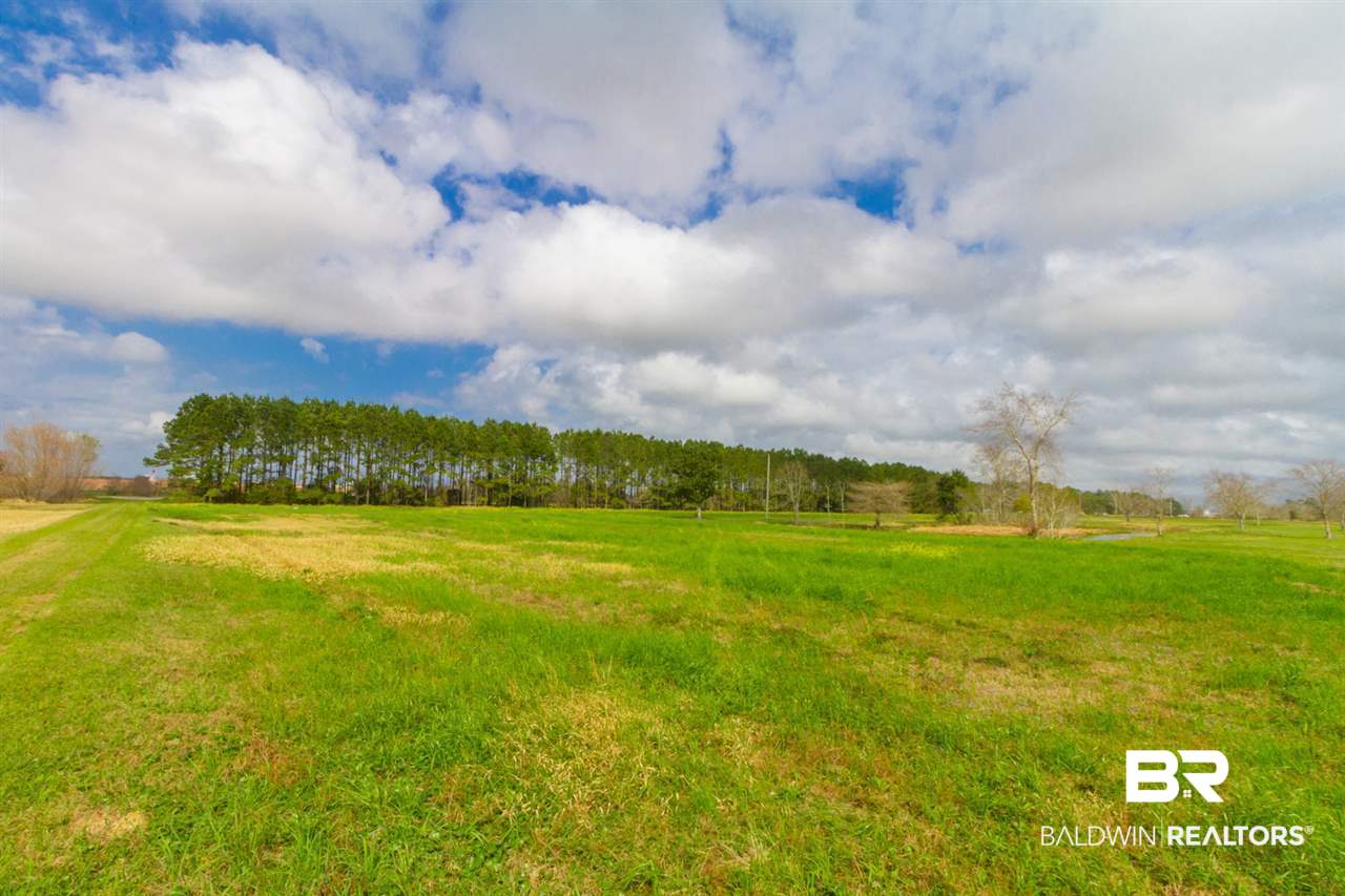 20324 Miflin Road Foley, AL 36535 - Photo 16 of 17