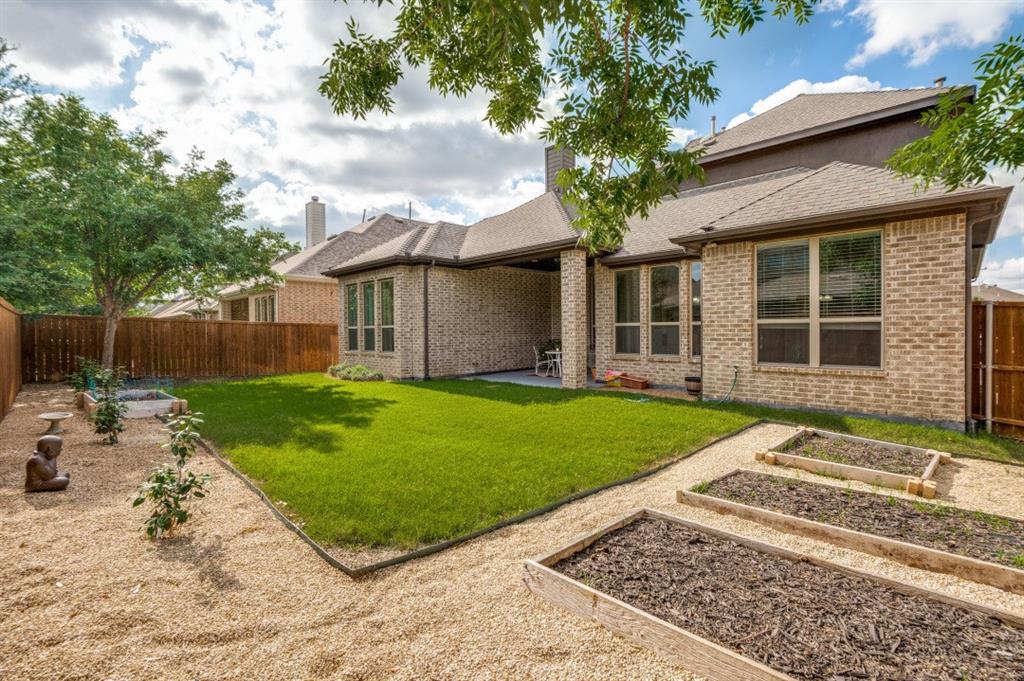 14215 Raspberry Lane Frisco, TX 75035 - Photo 24 of 30 Expansive backyard with a manicured lawn, gravel pathways, and raised garden beds