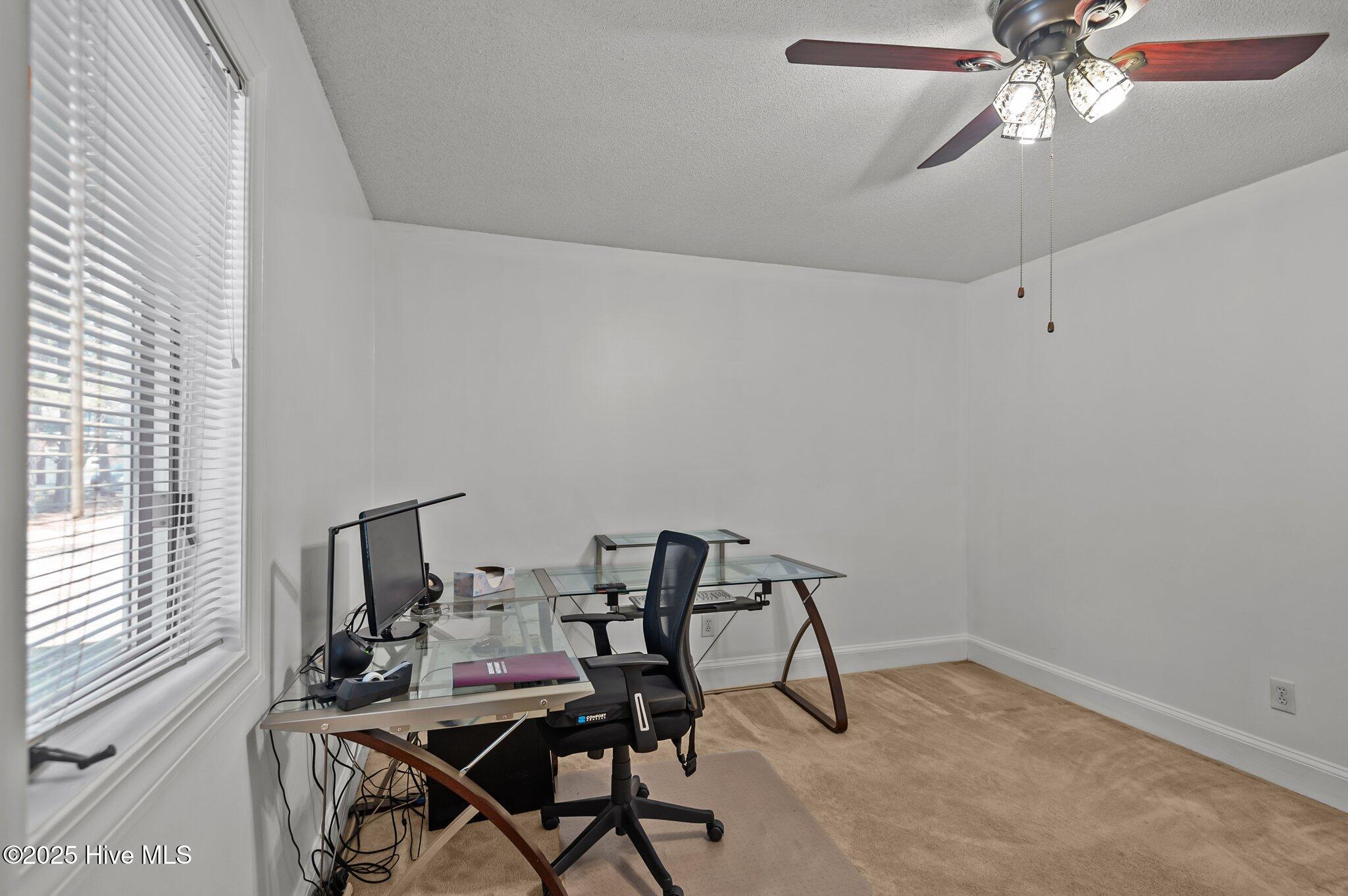 500 Winstead Road Greenville, NC 27834 - Photo 36 of 56 33-web-or-mls-_DSC2334