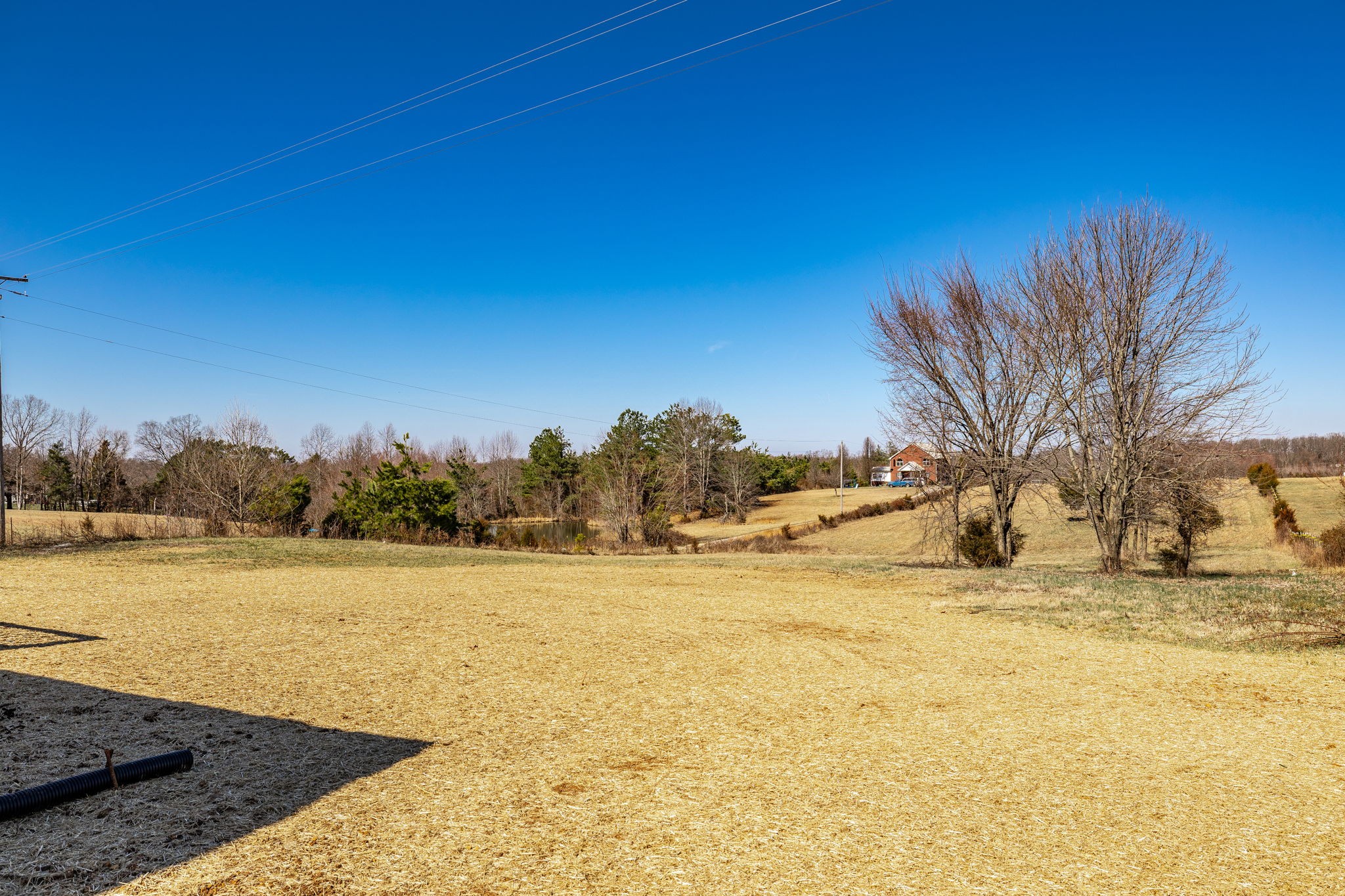 1260 Mt Olive Road Westmoreland, TN 37186 - Photo 29 of 31